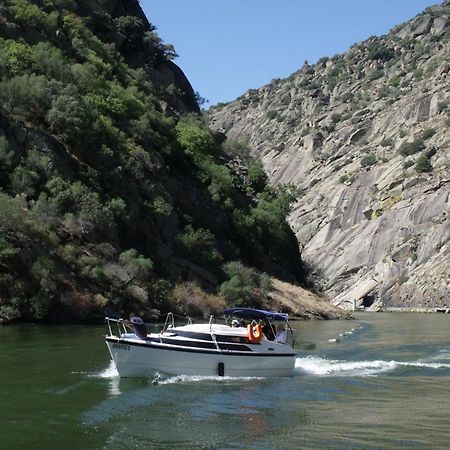 Douro Yacht Charter & Bungalows São João da Pesqueira Dış mekan fotoğraf