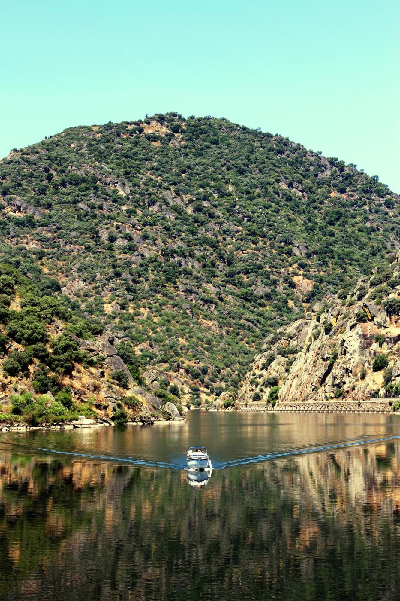 Douro Yacht Charter & Bungalows São João da Pesqueira Oda fotoğraf
