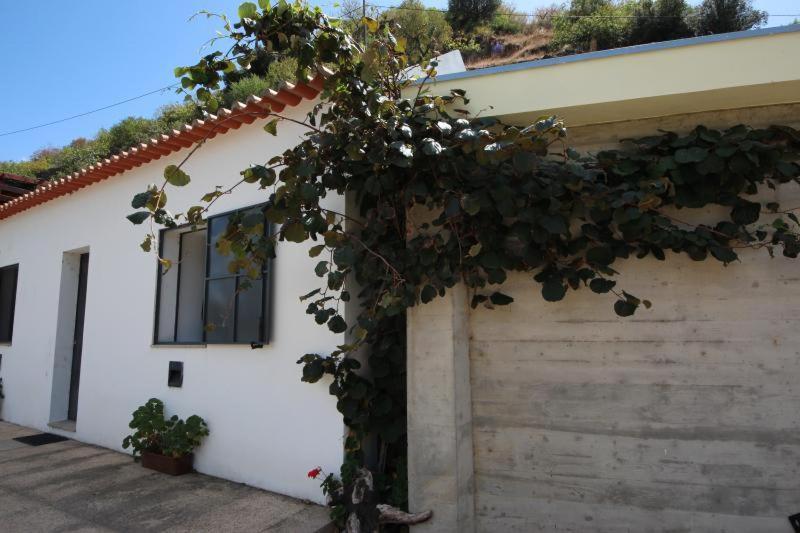 Douro Yacht Charter & Bungalows São João da Pesqueira Dış mekan fotoğraf
