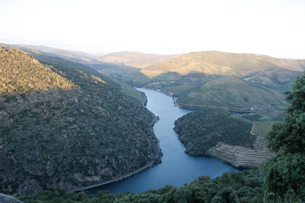 Douro Yacht Charter & Bungalows São João da Pesqueira Dış mekan fotoğraf