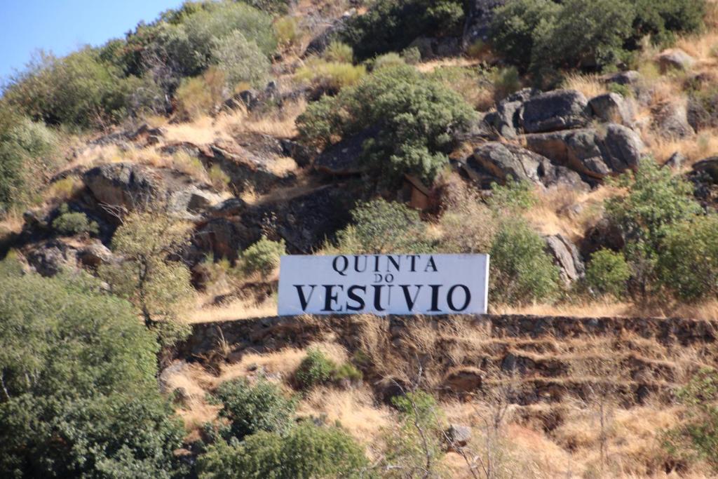 Douro Yacht Charter & Bungalows São João da Pesqueira Dış mekan fotoğraf