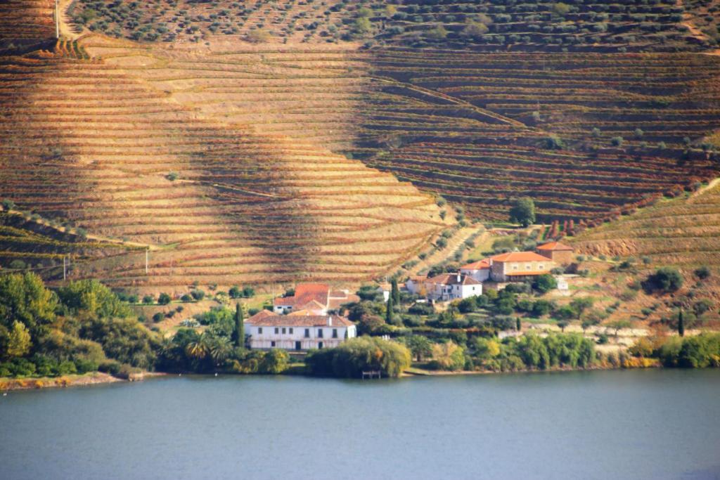 Douro Yacht Charter & Bungalows São João da Pesqueira Dış mekan fotoğraf