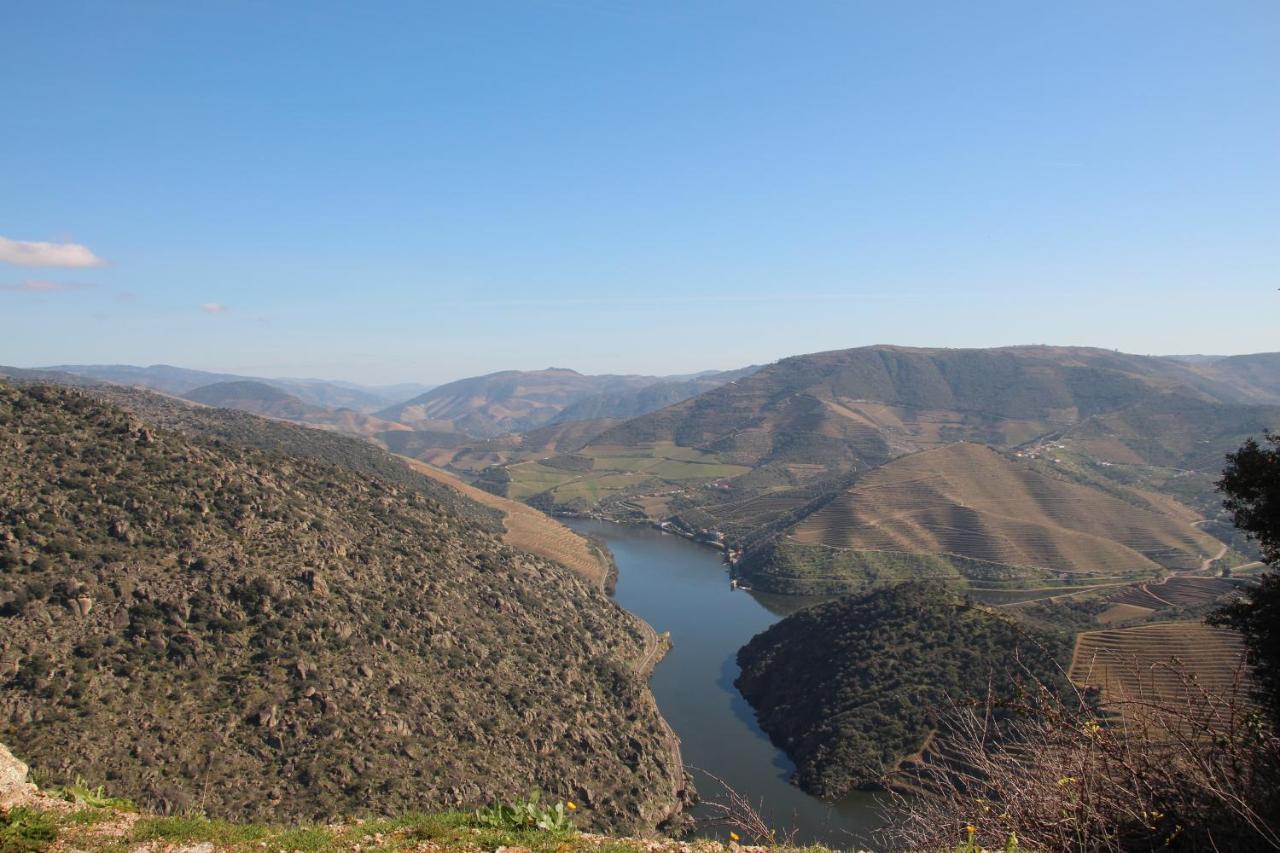 Douro Yacht Charter & Bungalows São João da Pesqueira Dış mekan fotoğraf
